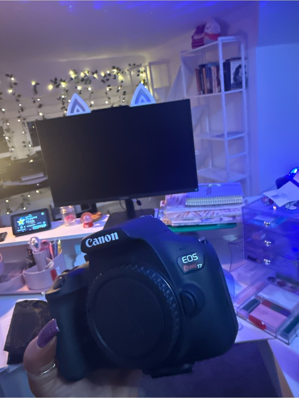 Canon Rebel T7